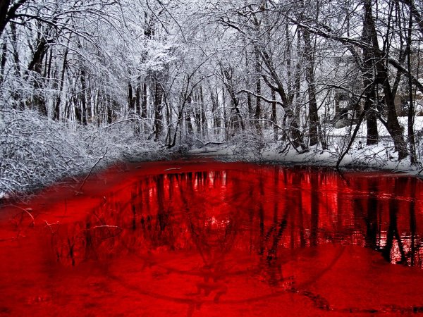 Алое озеро в Канаде