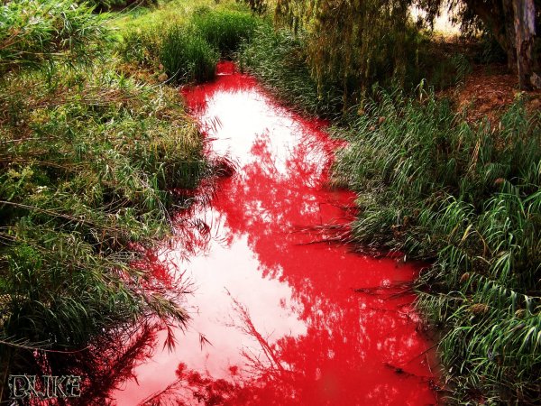 Красная река Далдыкан