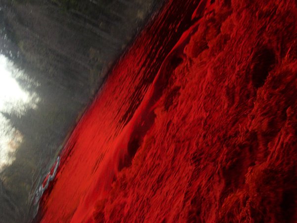 Кровавый дождь в Колумбии 2008