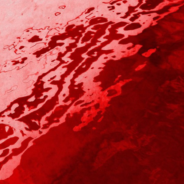 Кровавая река фильм 2009