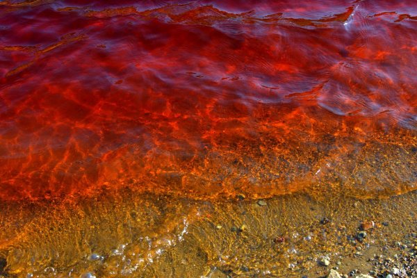 Кровавое озеро Кипр