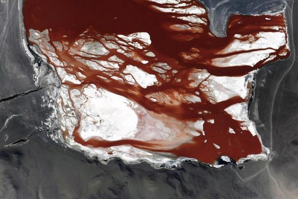 Кровавая река вид сверху