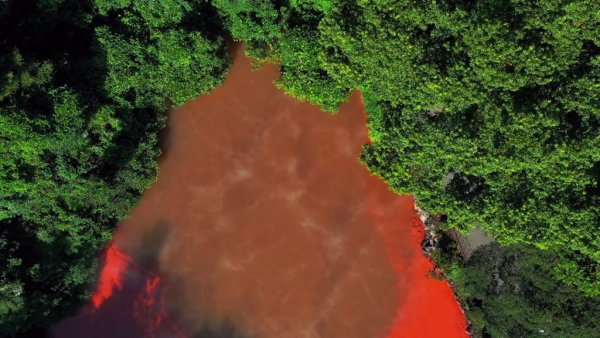 Кровавый пруд