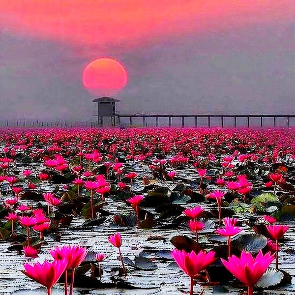 Озеро Нонг Хан Кумпхавапи