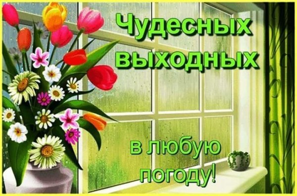 Отличного выходного не смотря на погоду