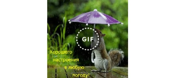 Хорошего настроения в любую погоду