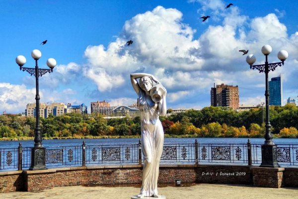 Парк Щербакова Донецк розы