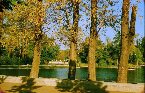 Парк Горького Москва