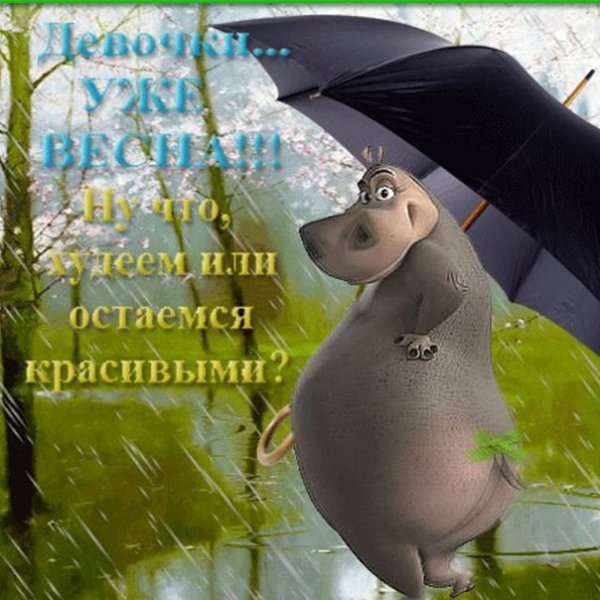 Открытка в дождливую погоду для поднятия настроения