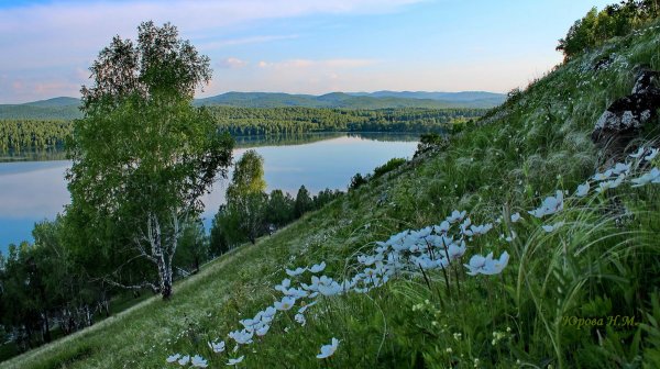 Инголь Шарыповский район