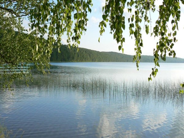 Оз Инголь Шарыповский район