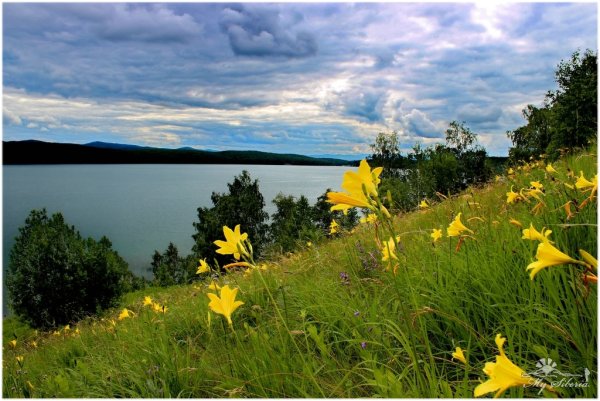 Шарыпово озеро Инголь