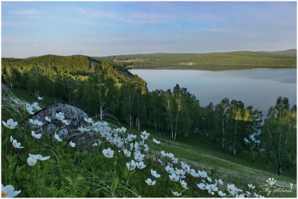 Озеро Инголь Шарыповский