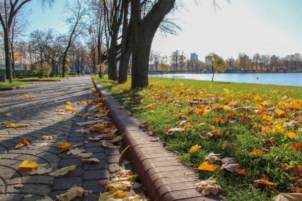 Беларусь парк Веснянский