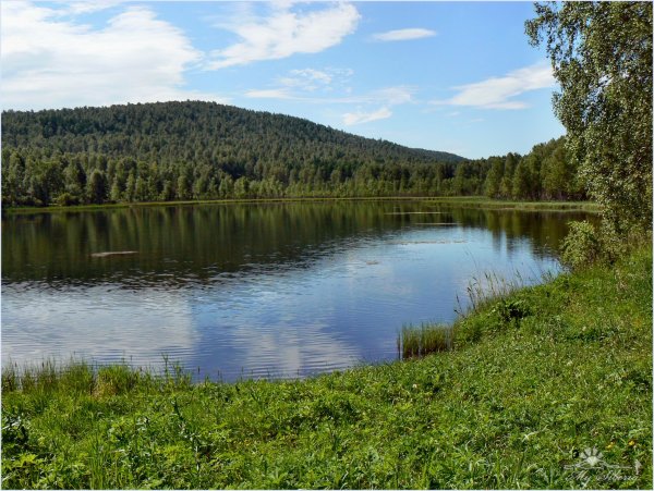 Озеро Еловое Шарыповский район