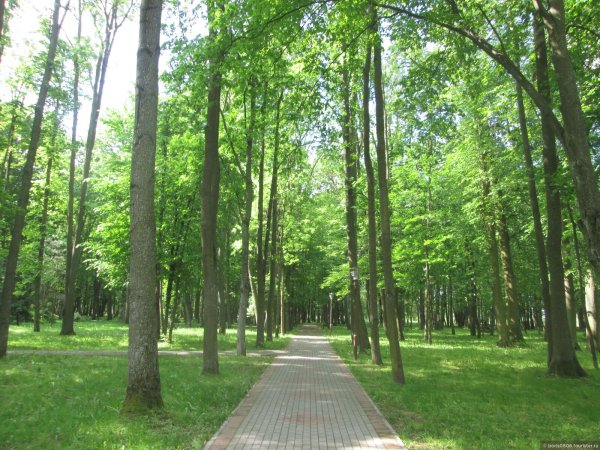 Парк имени Суворова