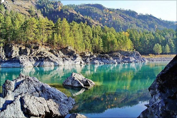 Алтай Катунь Аскат