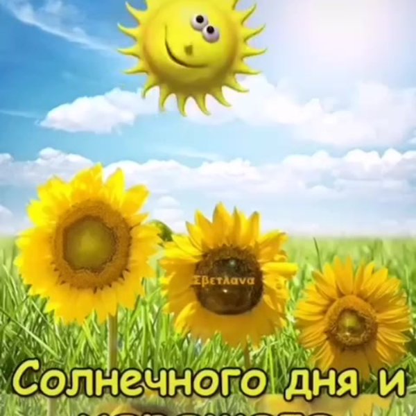 Солнечногоднч и хорошего настроения