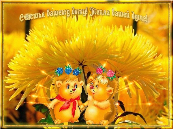 Радости в новом дне