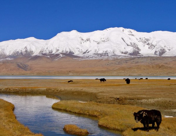 Озеро каракуль Таджикистан