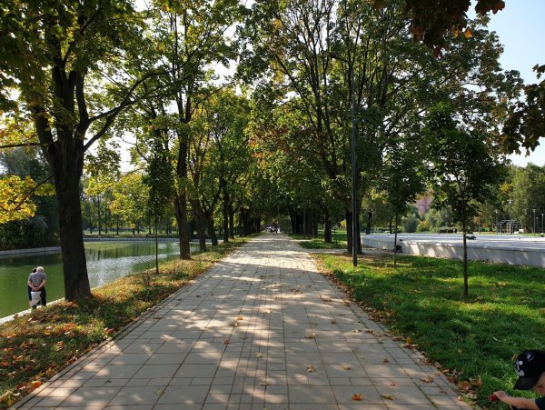 Метро Речной вокзал парк Дружба