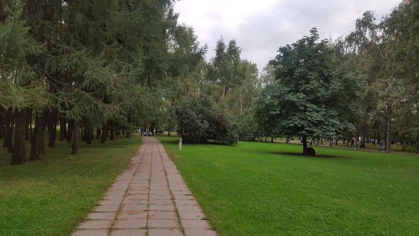Парк дружбы народов Москва