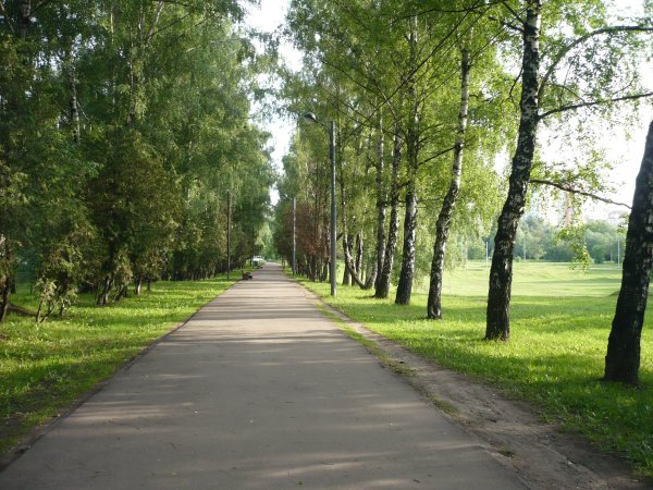 Парк дружбы Рязань
