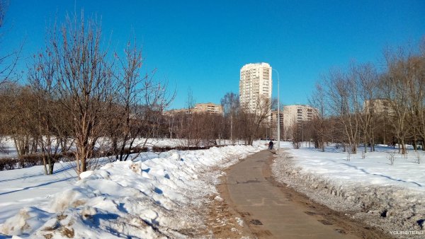 Парк дружбы, Москва, Фестивальная улица