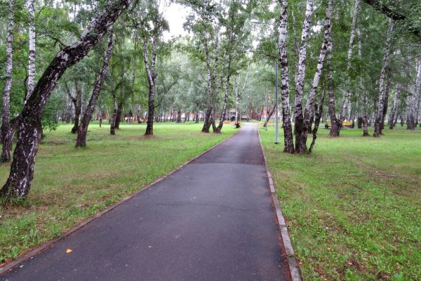 Парк дружбы народов Тюмень