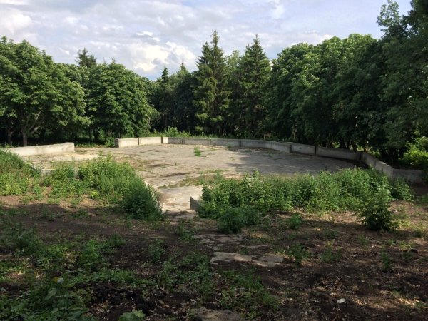 Аллея парка дружбы народов Ульяновска