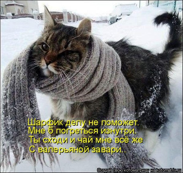 Приколы про Мороз