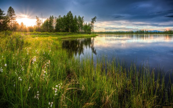 Череменецкое озеро Луга