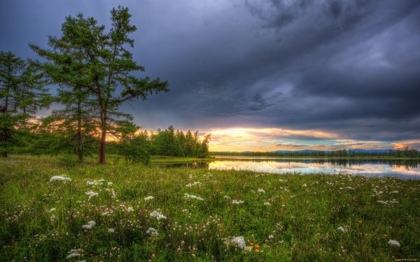 Поля (Карелия)