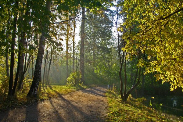 Шуваловский парк СПБ