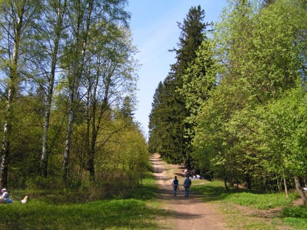 Шуваловский парк Парнас