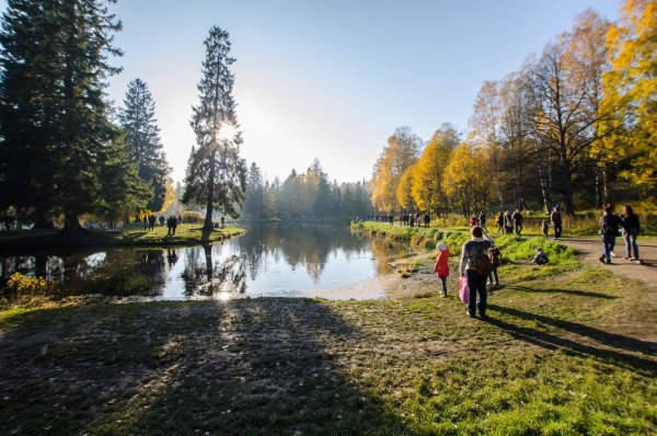 Шуваловский парк