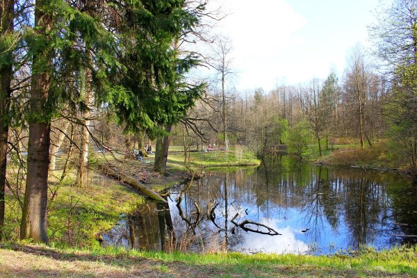 Шуваловский парк пруды