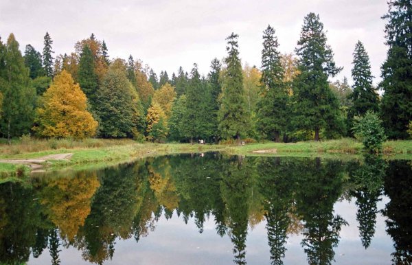 Чёртово озеро Парголово