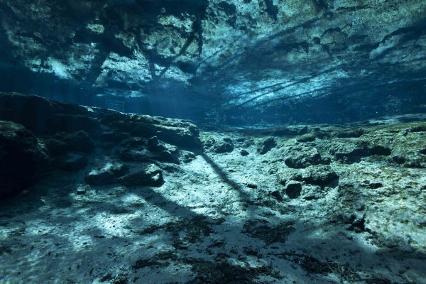 Сероводород на дне черного моря