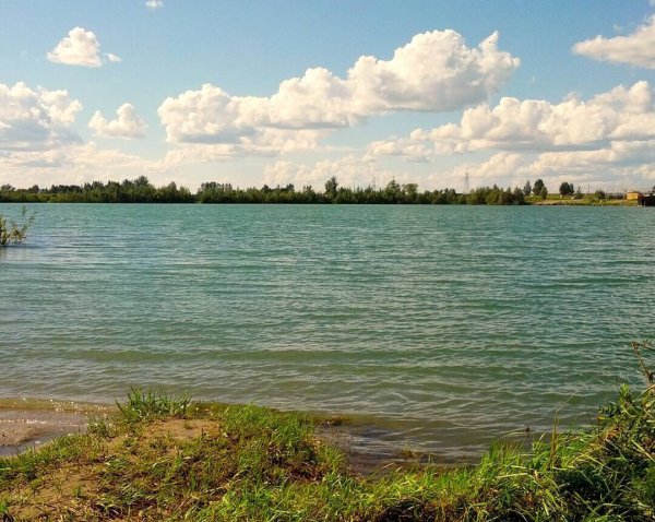 Озеро Старица Новосибирск