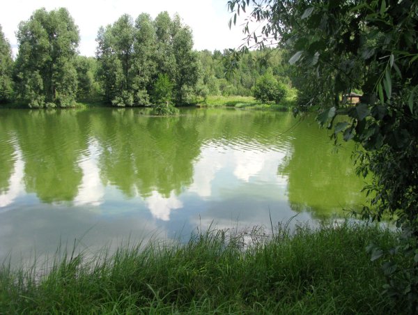 Озеро Старицкое рычье