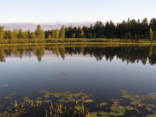 Река Старица в Красноярске
