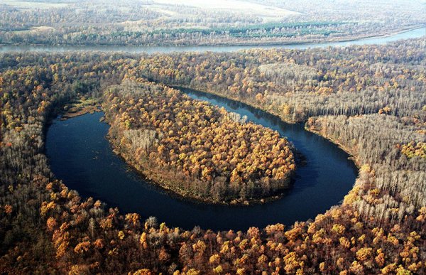 Речные озера (старицы)