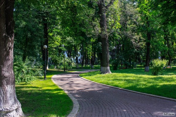 Парк сквер