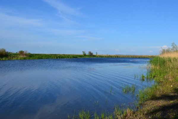 Поселок Рыбачий озеро Старица