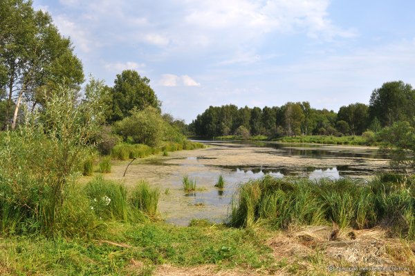 Озеро Старица Омск