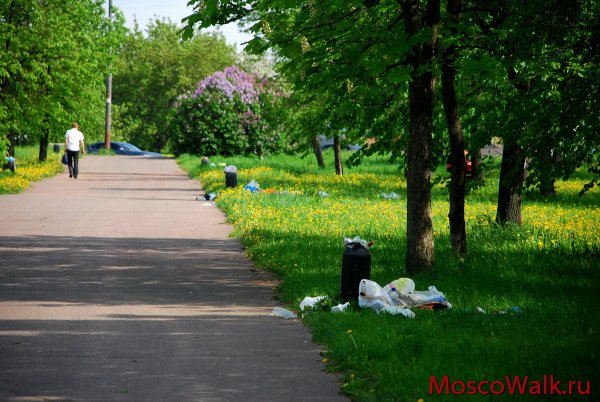 Парк улица Лобачевского