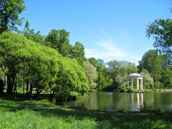 Летний день парк
