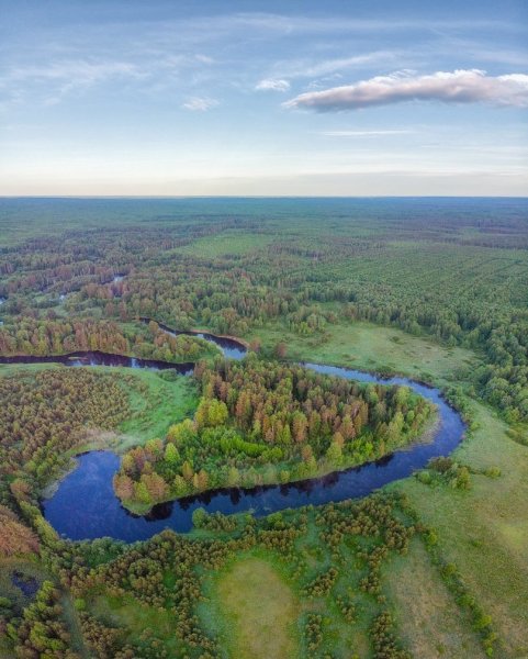 Старица реки белой