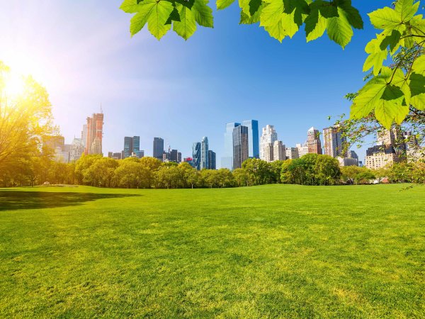 Лето в городе